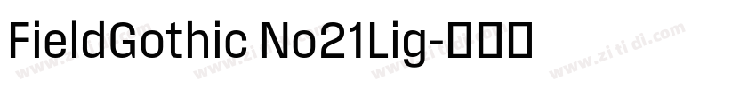 FieldGothic No21Lig字体转换